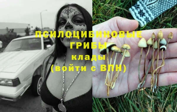 дживик Балабаново