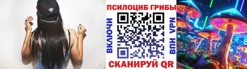 Псилоцибиновые грибы мицелий  нарко площадка официальный сайт  Заполярный  OMG ссылка 